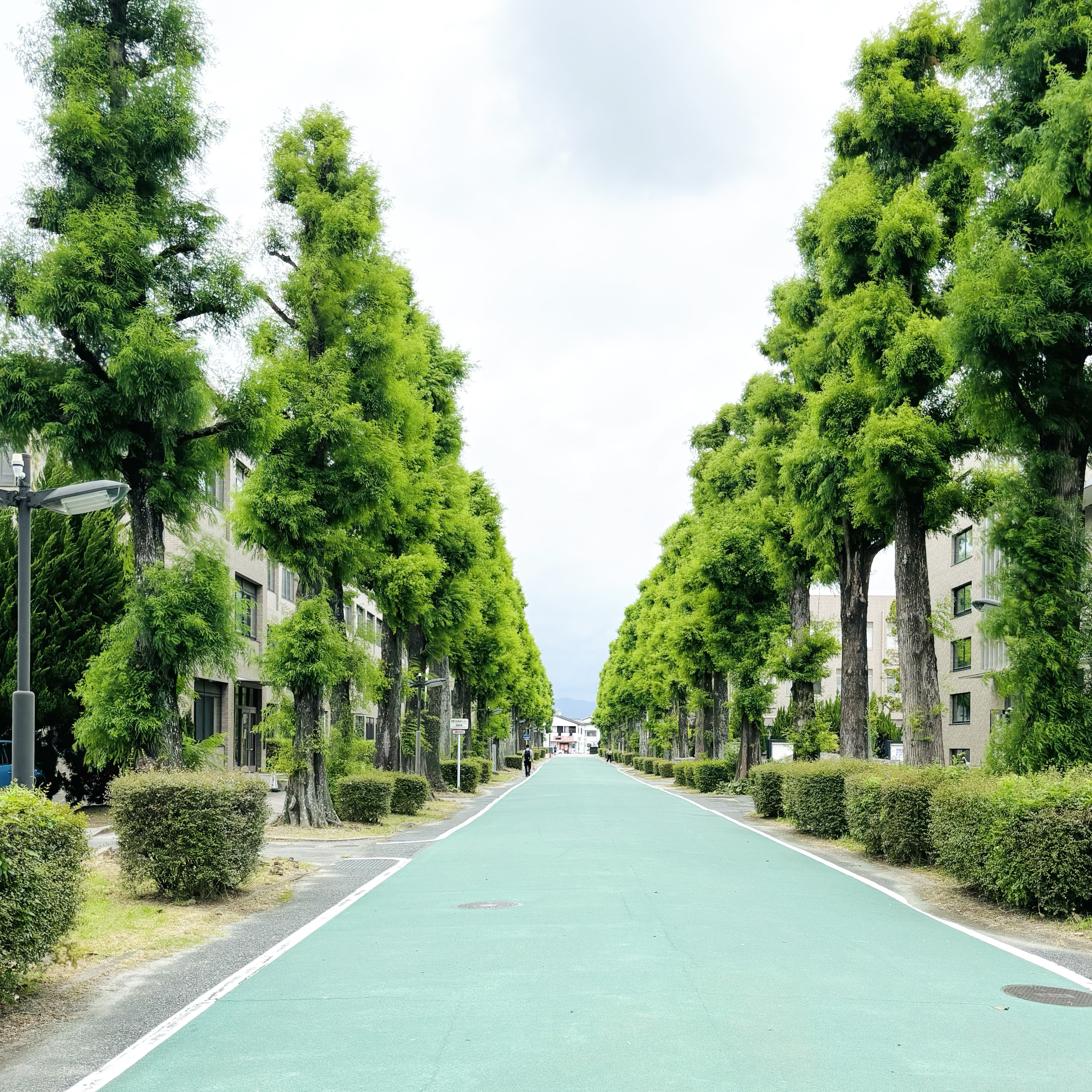 佐賀大学芸術地域デザイン学部での講義